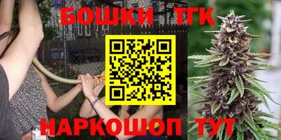 дживик Камышлов