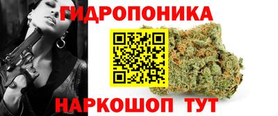 дживик Камышлов
