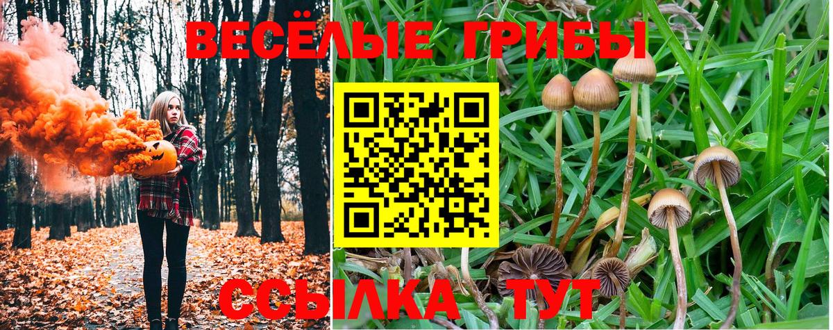 Галлюциногенные грибы Magic Shrooms  Галлюциногенные грибы Psilocybine cubensis  Вход с VPN  Лабытнанги 